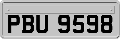 PBU9598