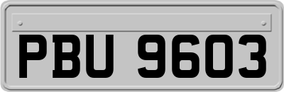 PBU9603