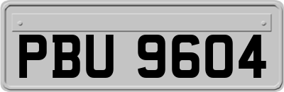 PBU9604