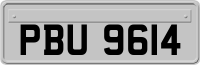 PBU9614