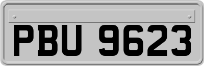 PBU9623