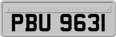 PBU9631