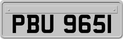 PBU9651