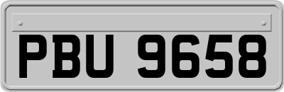 PBU9658