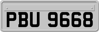 PBU9668