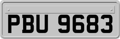 PBU9683