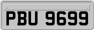 PBU9699