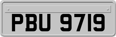 PBU9719