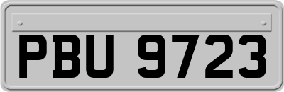 PBU9723