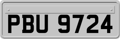 PBU9724