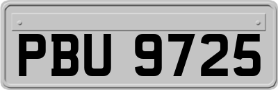 PBU9725