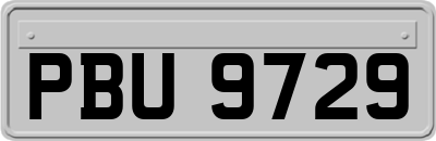 PBU9729