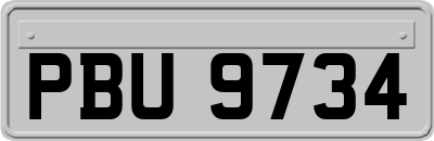 PBU9734