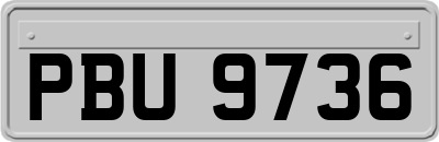 PBU9736