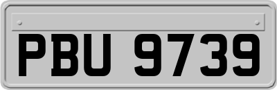 PBU9739