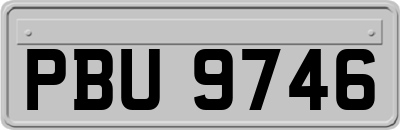 PBU9746