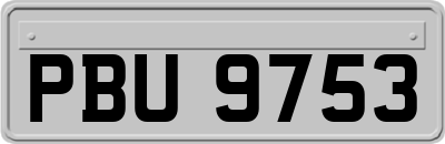 PBU9753