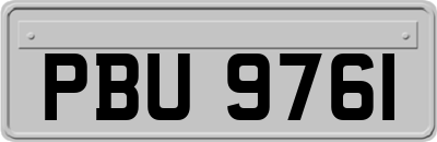 PBU9761