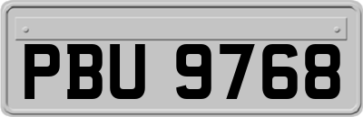 PBU9768