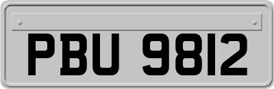 PBU9812