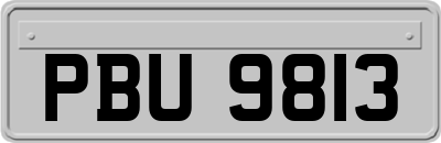 PBU9813