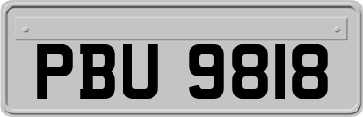 PBU9818