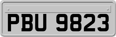 PBU9823