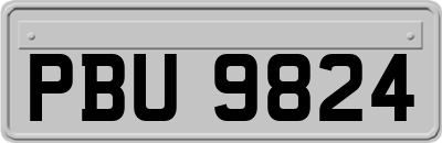 PBU9824