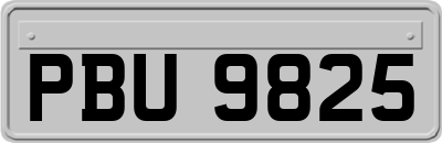 PBU9825