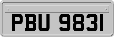 PBU9831