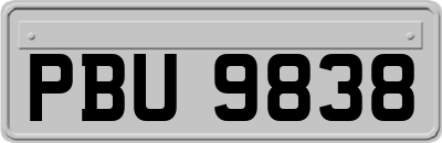 PBU9838