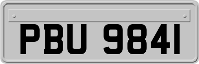 PBU9841