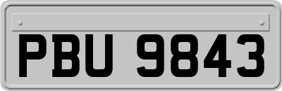 PBU9843