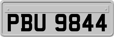 PBU9844