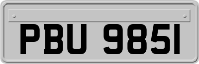 PBU9851