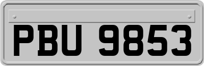 PBU9853