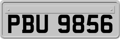 PBU9856