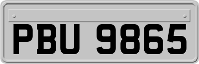 PBU9865