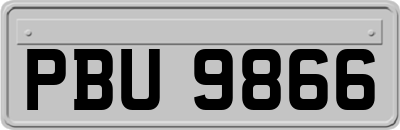 PBU9866