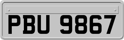 PBU9867