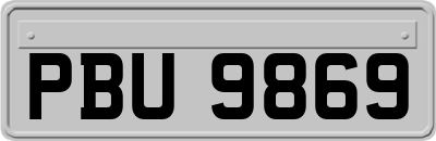 PBU9869