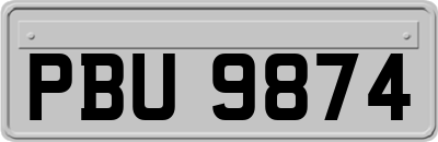 PBU9874