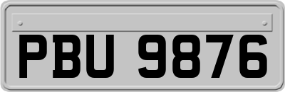 PBU9876