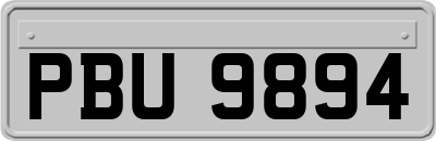 PBU9894