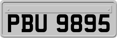 PBU9895