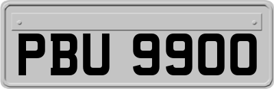 PBU9900