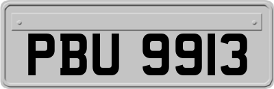 PBU9913