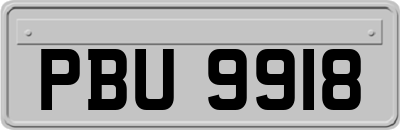 PBU9918