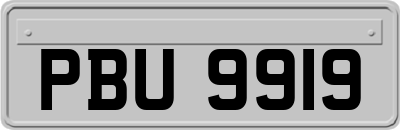 PBU9919