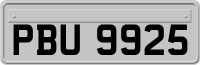 PBU9925